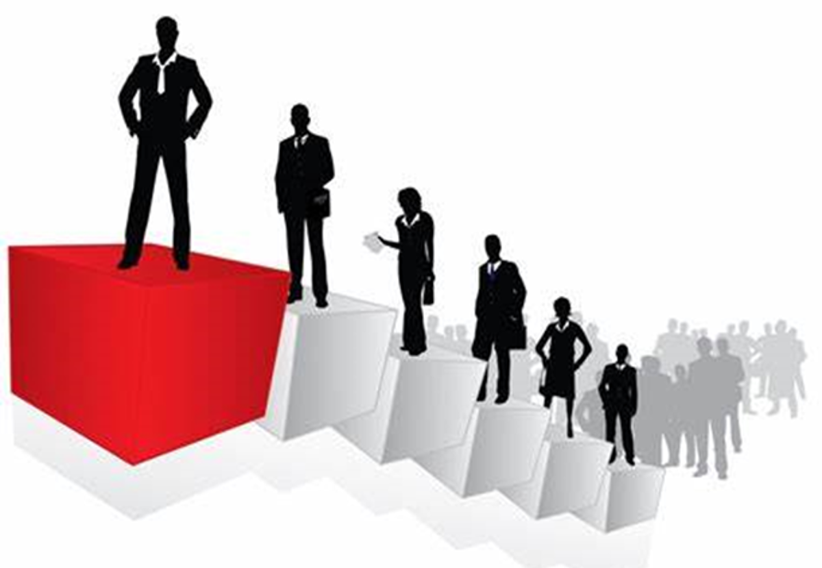 Career Roadmap