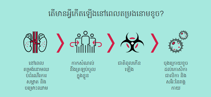 Info graphic